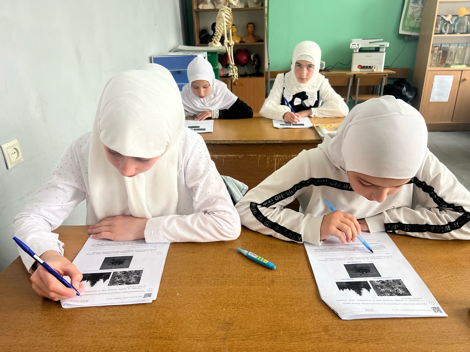ВПР по биологии 5 кл..